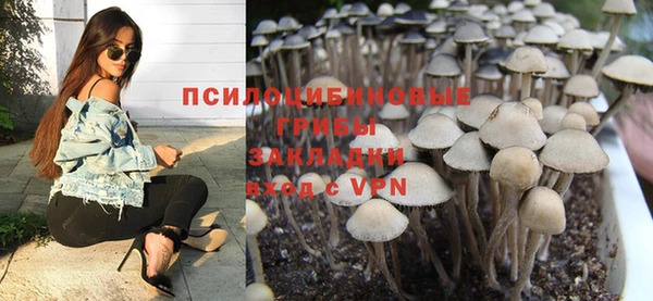 соль курить ск Вязьма