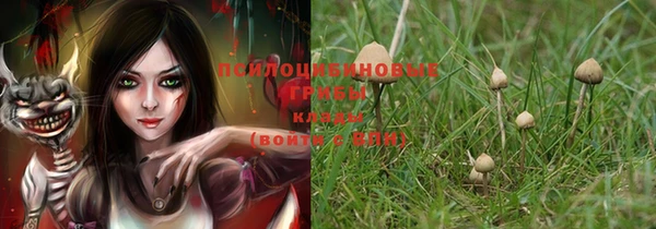 марки lsd Вяземский