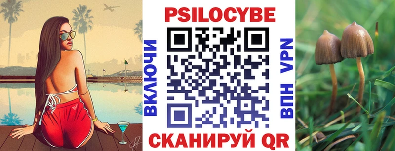 Купить закладки Евпатория Псилоцибиновые грибы ЛСД